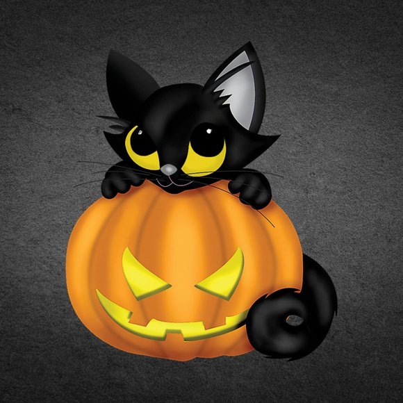 Meet your Posher, Scott - Picture 2 of 2